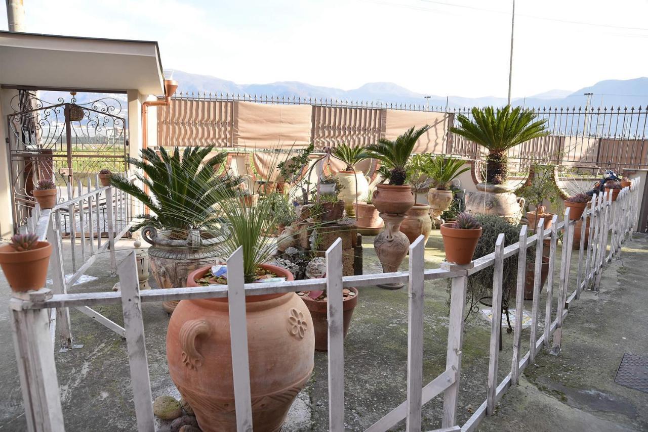 B&B Le Cycas Кастелламмаре-ди-Стабия Экстерьер фото